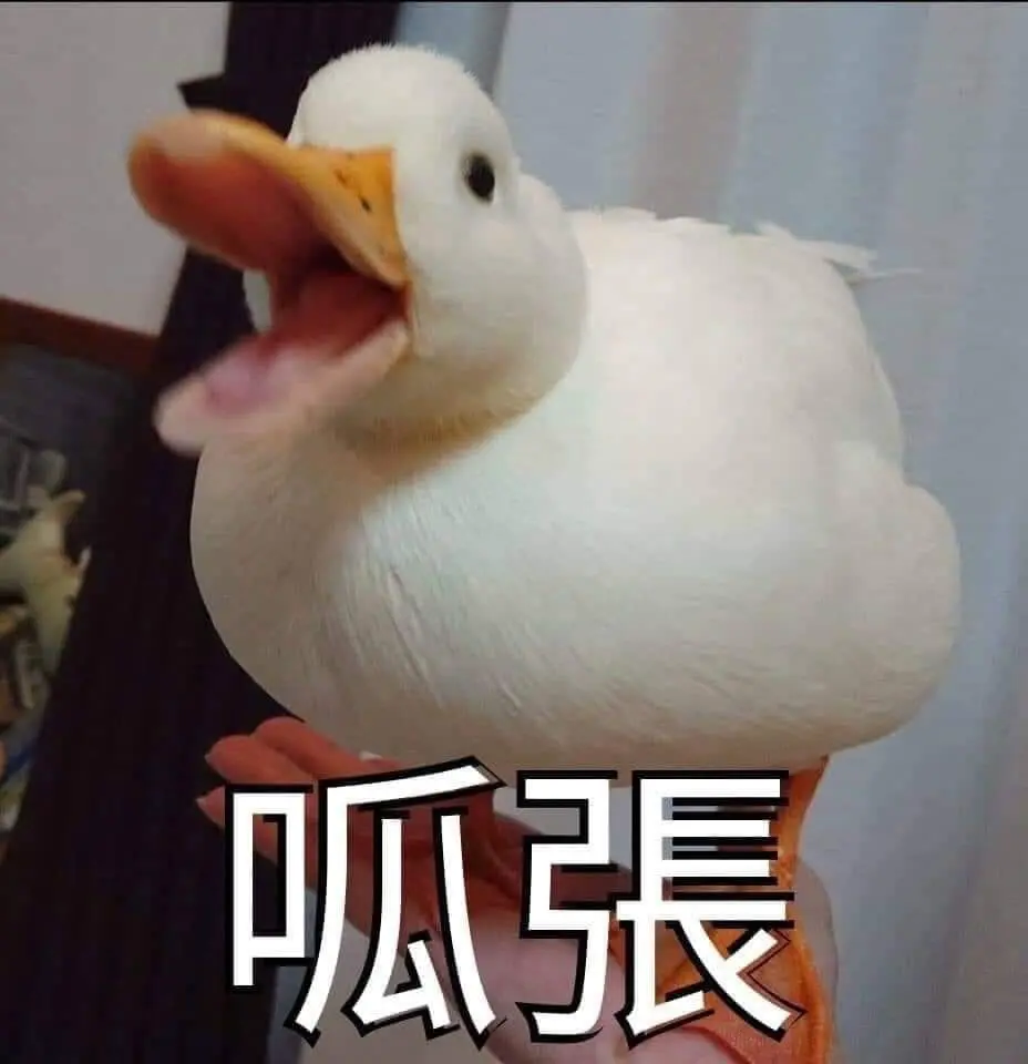 呱張
