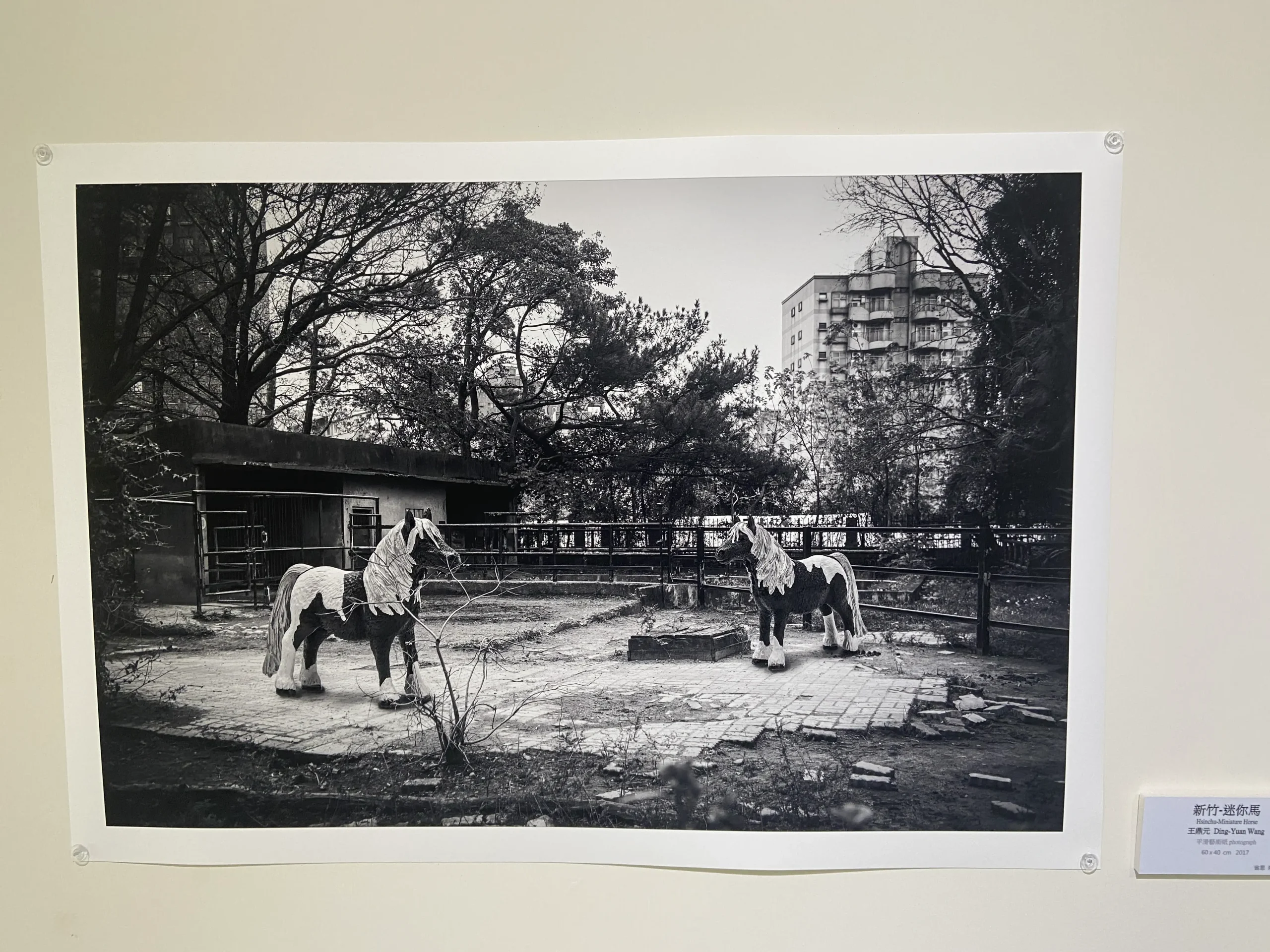 迷你馬-省思Reflection-藝術家王鼎元
